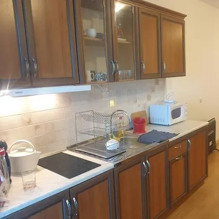 Silver Terace With Sea View For 4 Person *