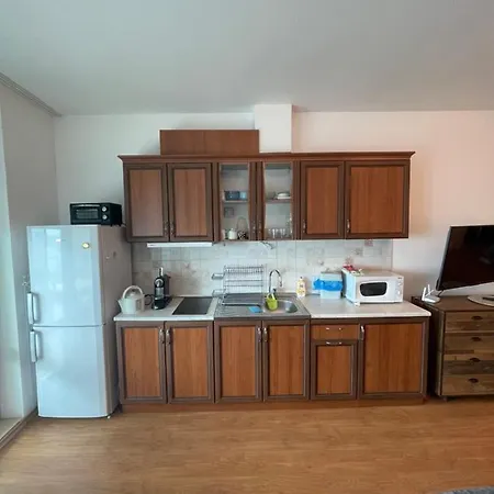 Silver Terace With Sea View For 4 Person Apartman Bjala