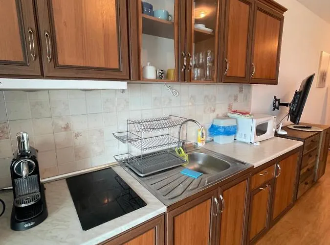 Silver Terace With Sea View For 4 Person Appartamento *